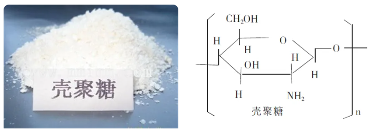 香港六宝典资料大全