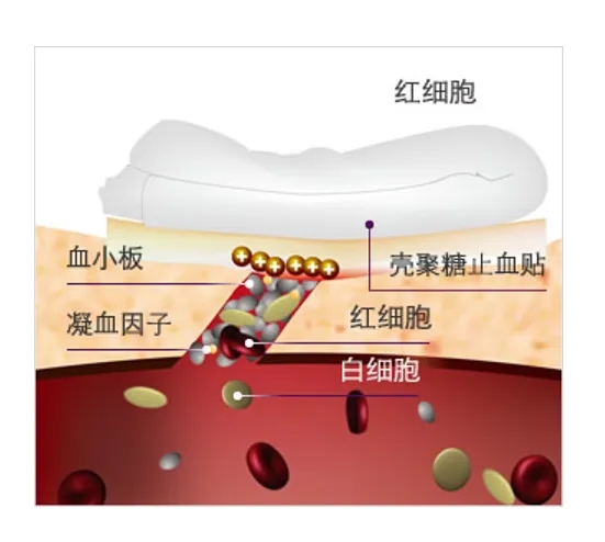 香港六宝典资料大全