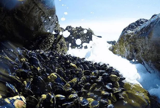 香港六宝典资料大全