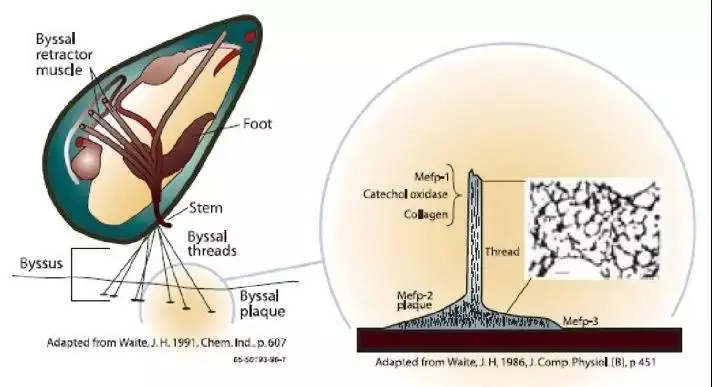 香港六宝典资料大全