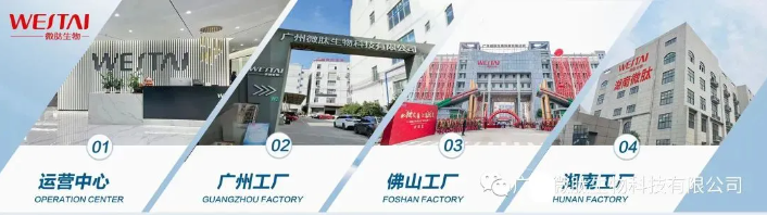 香港六宝典资料大全